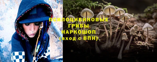 гашиш Белокуриха