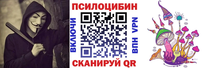 Галлюциногенные грибы Psilocybe  купить наркотики цена  Волжск 